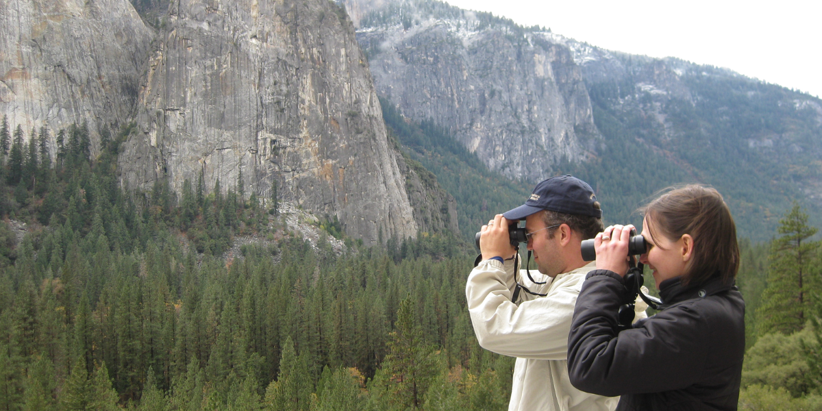 Wildlife Watching in Yosemite national park