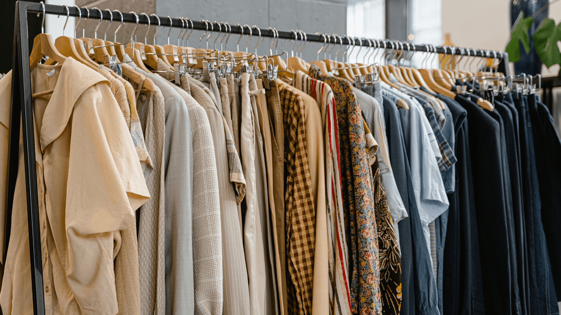 Clothes and apparels