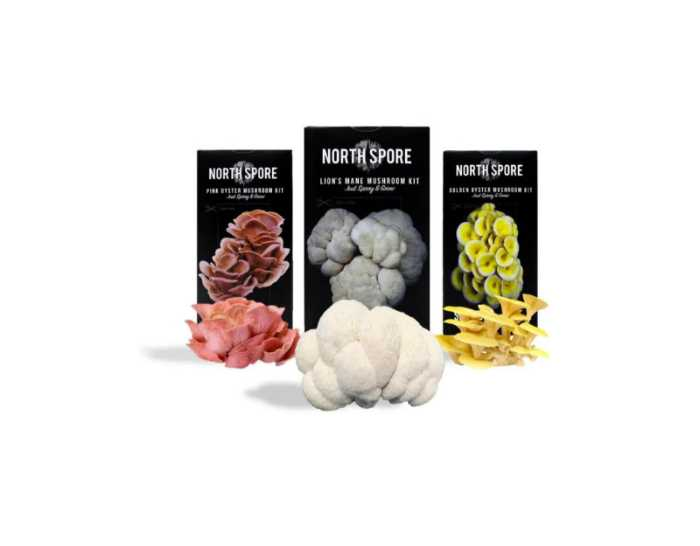 North Spore growing kits. Fresh mushrooms are one great way to eat healthily.