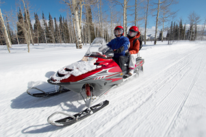 Most common causes of snowmobile crashes