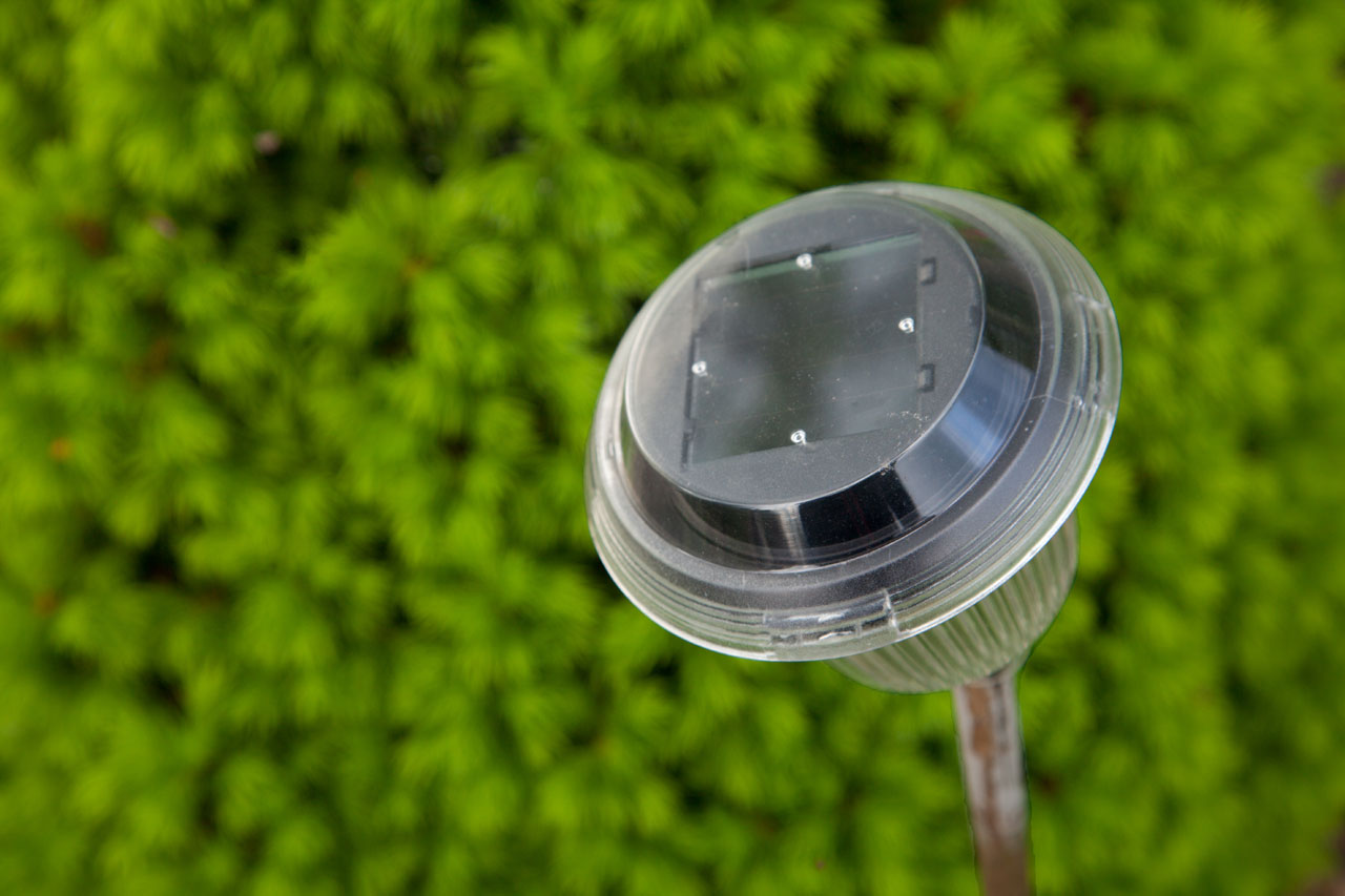 Solar Garden Path Light