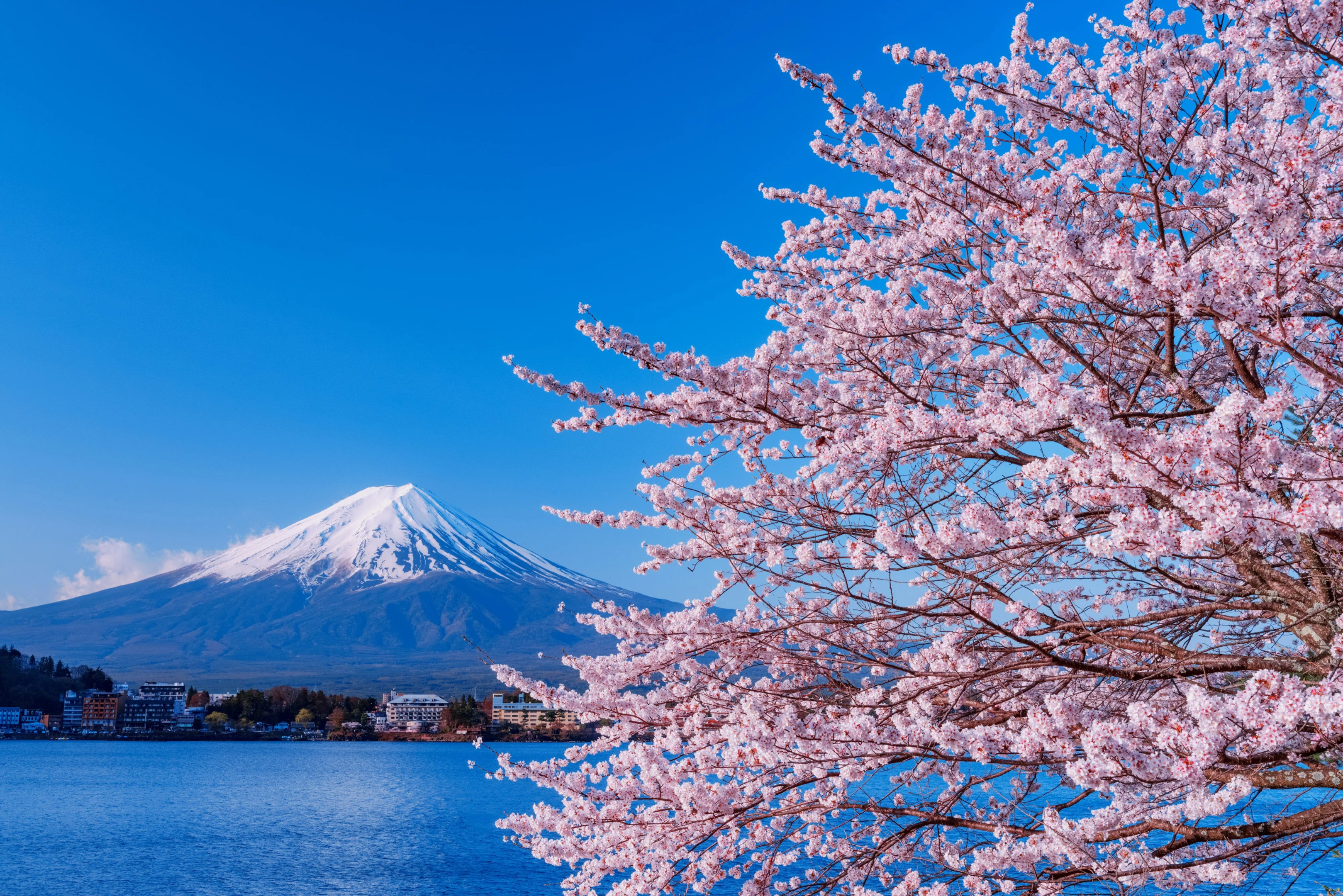 Fuji Kawaguchiko