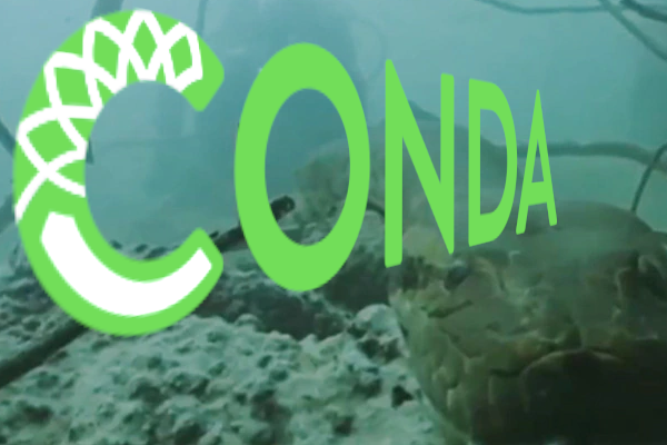 Conda es capaz de administrar paquetes y dependencias de cualquier lenguaje utilizado para ciencia de datos: Python, R, Fortran, Scala, Java, entre otros. 