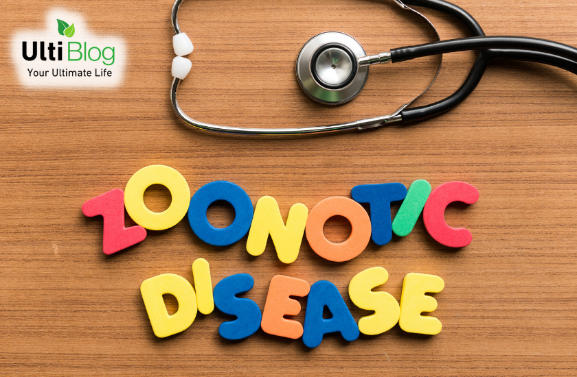 What Are Zoonotic Diseases?