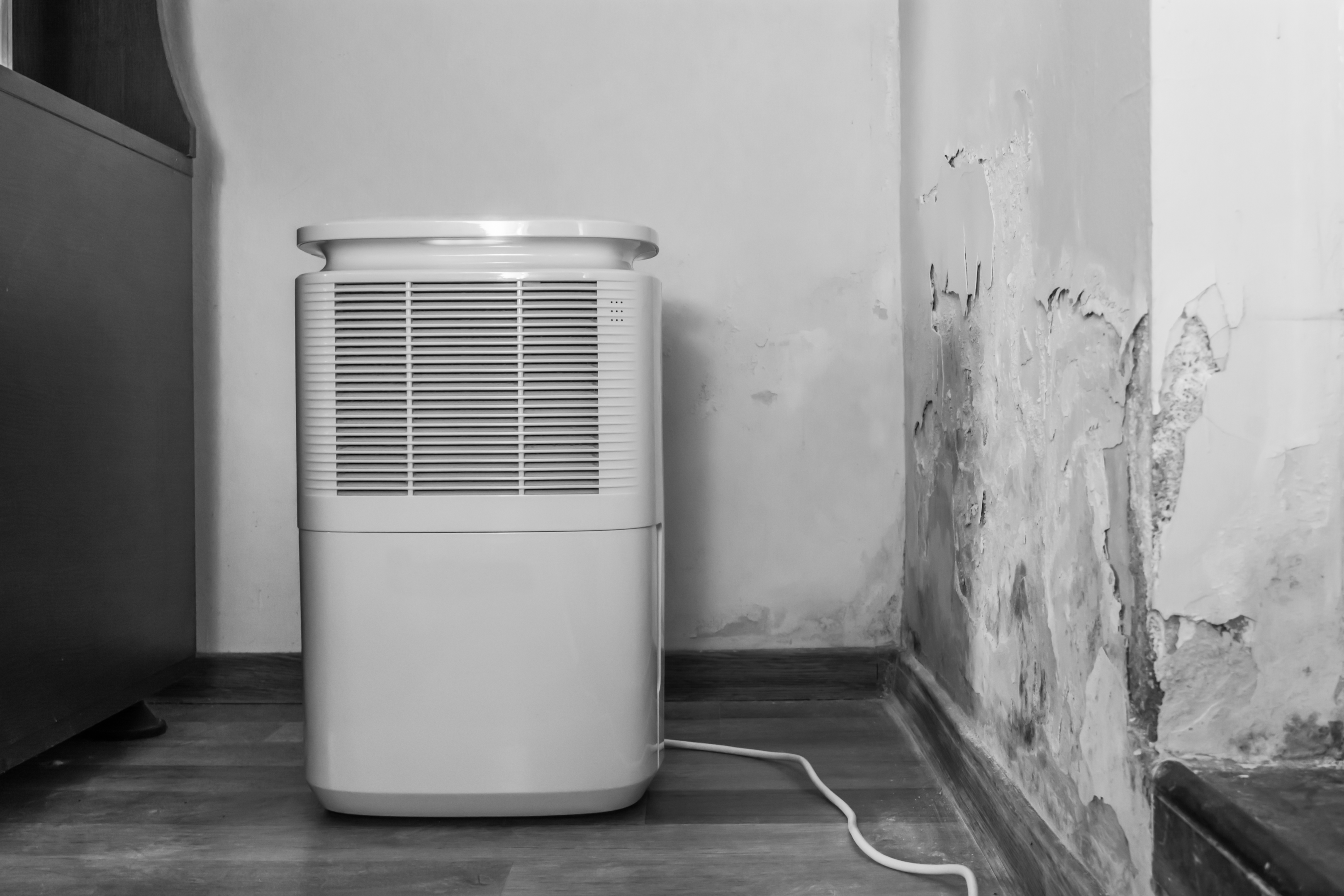                                                home fan or dehumidifier to dry water damage restoration 