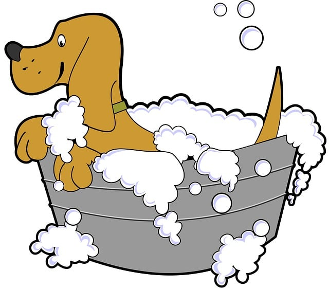 dog, bath, cartoon
