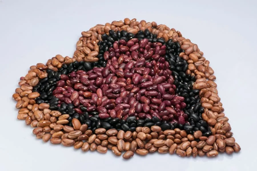 Kidney Beans and Black Beans