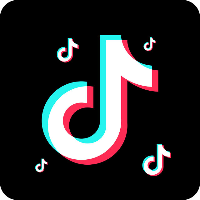 photo mode video money on tiktok