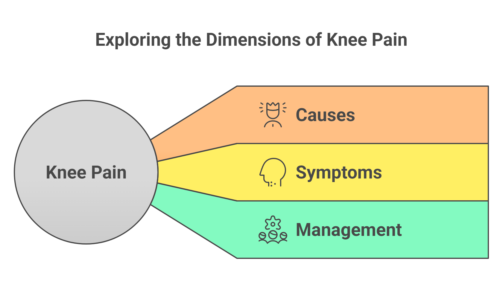 Understanding Knee Pain