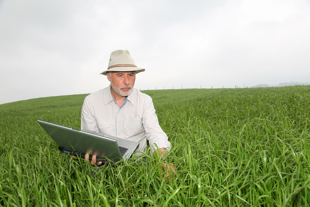 A farmer inspecting a field of organic crops for signs of GMOs