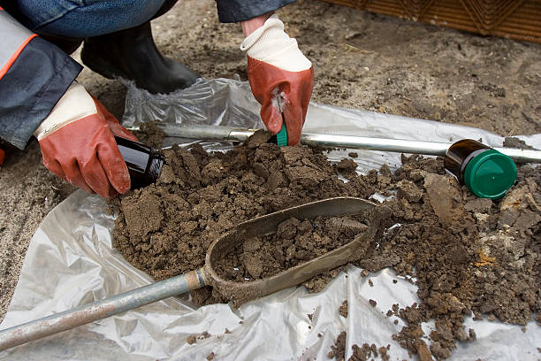 A picture of a person using a soil sampling kit to collect soil samples from the ground
