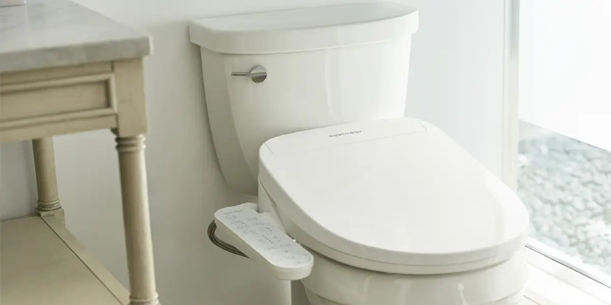 Bidet Use Techniques