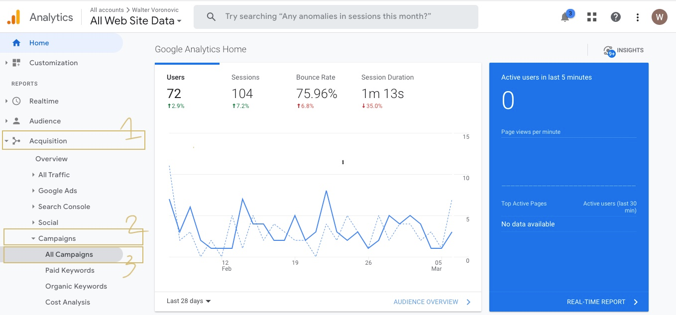 Google Analytics Campaign Report