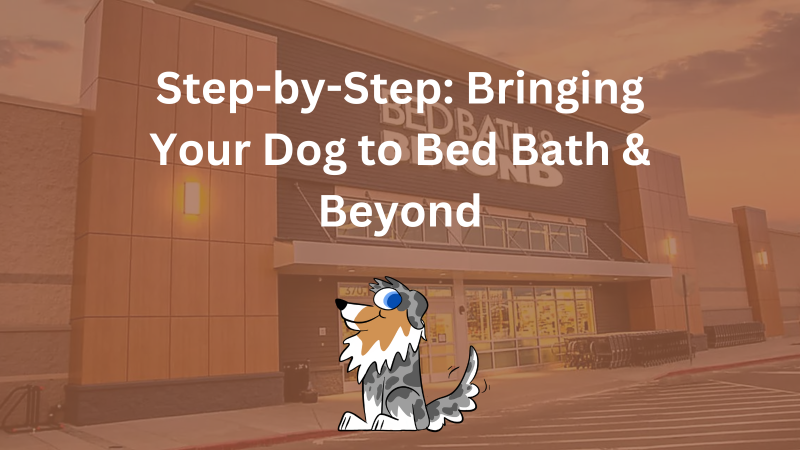 Image Text: "Step-by-Step: Bringing Your Dog to Bed Bath & Beyond"
