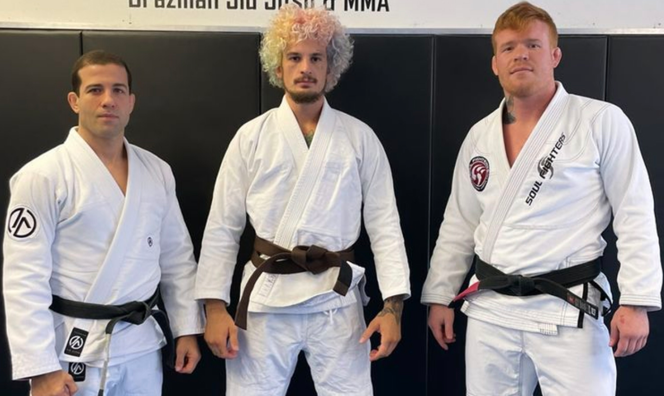 brown belt bjj - bjj belt ranks