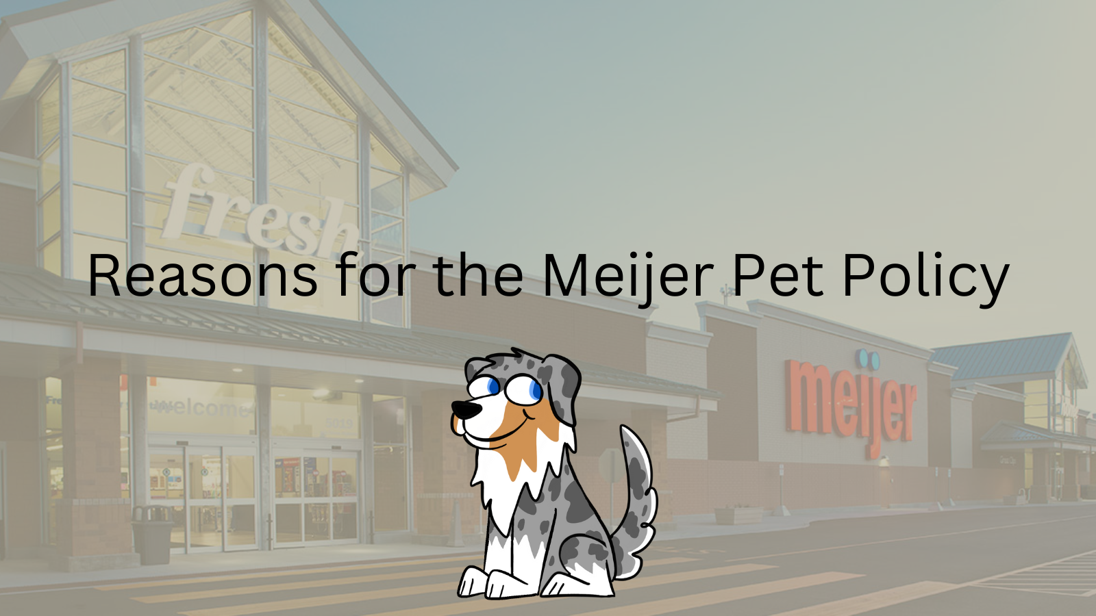 Image Text: "Reasons for the Meijer Pet Policy"