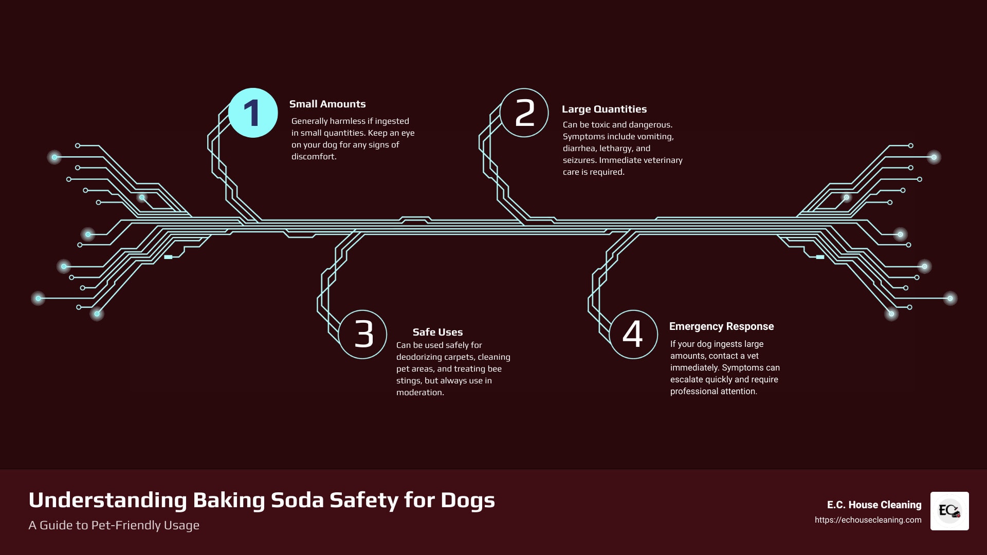 Baking Soda Safety for Dogs - Infographic - is baking soda harmful to dogs infographic infographic-4-steps-tech - dog baking soda - dogs eating baking soda