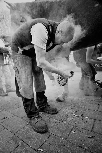 A farrier nailing on a horseshoe 