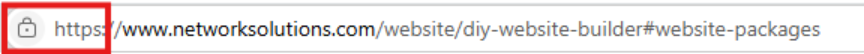 The padlock icon on a website URL.