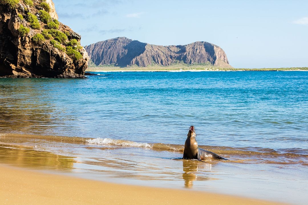 A Mesmerizing Place - GALAPAGOS ISLANDS