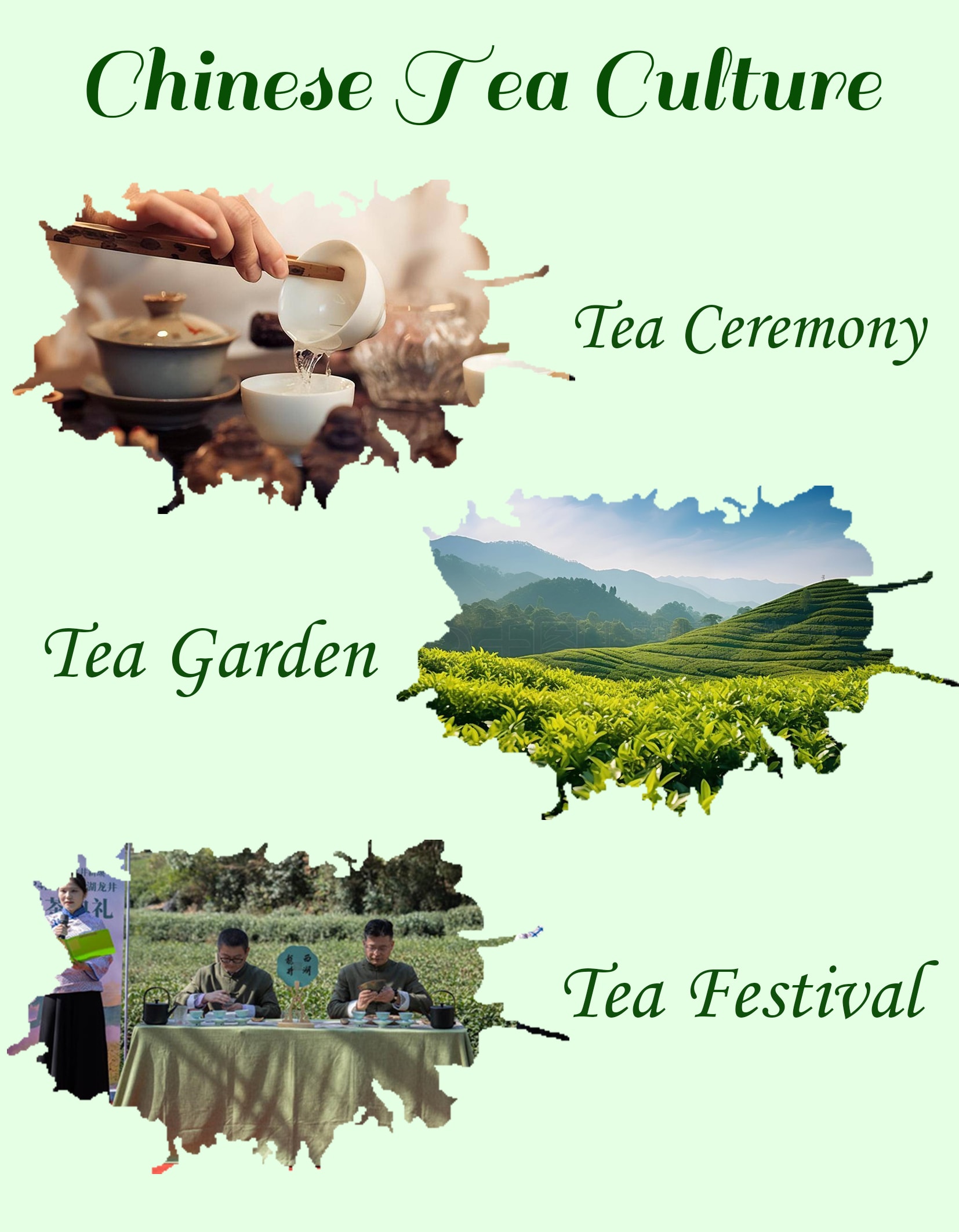 Chinese Tea Culture