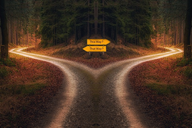 decision, path, signpost, Clarify Capital making your decision