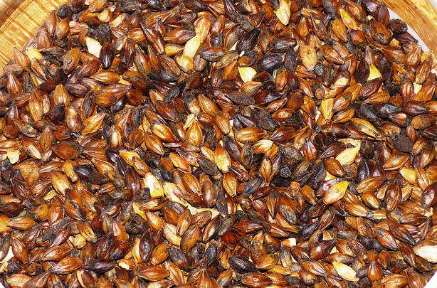 Malt Grains