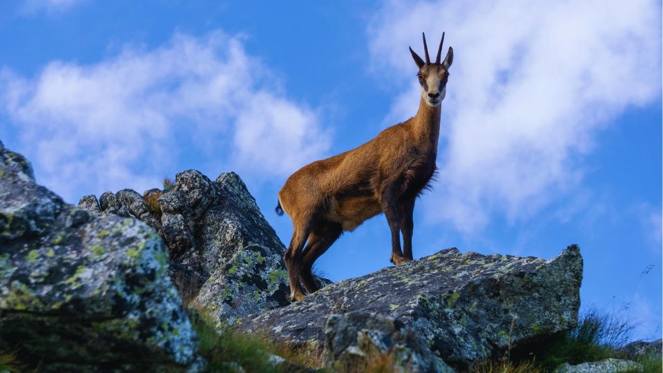 Zakopane Tatry