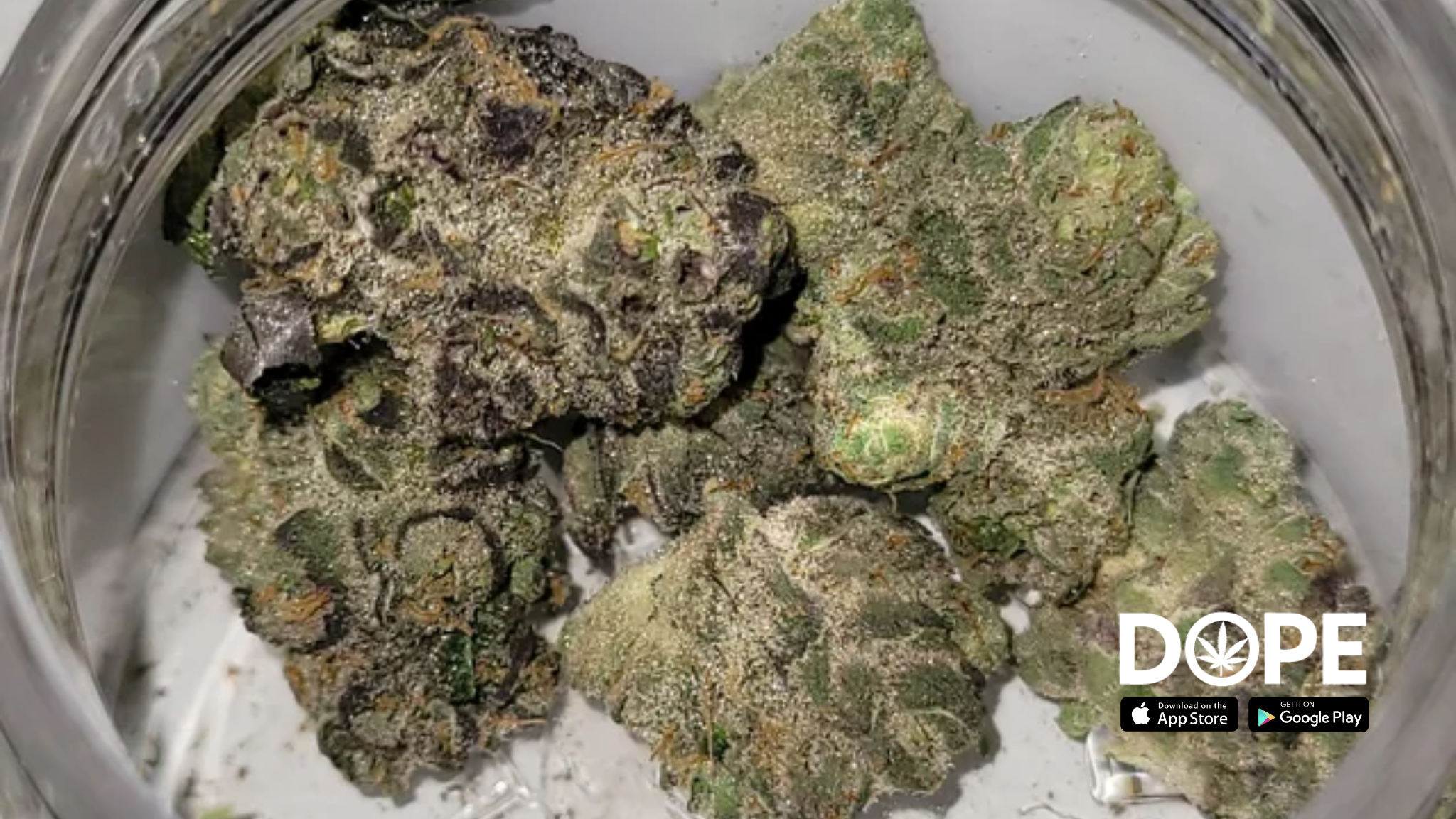 Gorilla Cookies strain displayed in a glass jar, highlighting its effects and benefits.