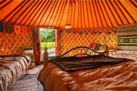View from inside of a glamping yurt in Roscommon