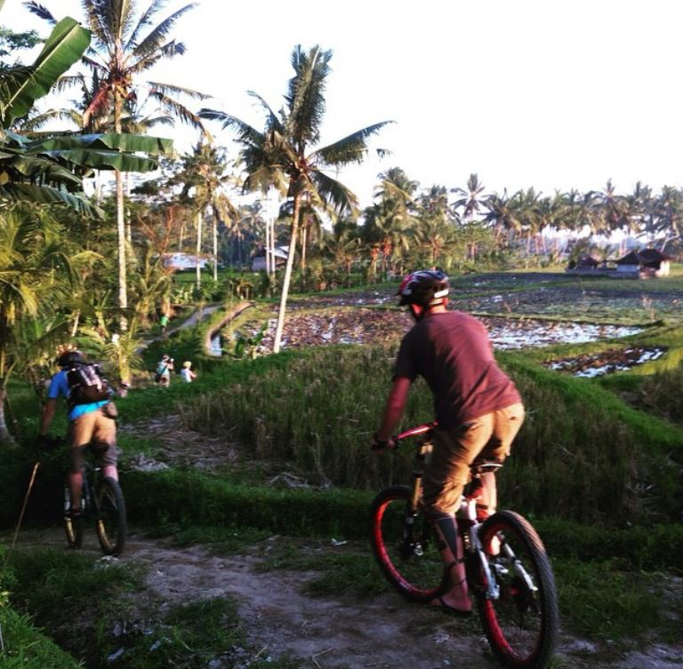 things to do in ubud biking tours