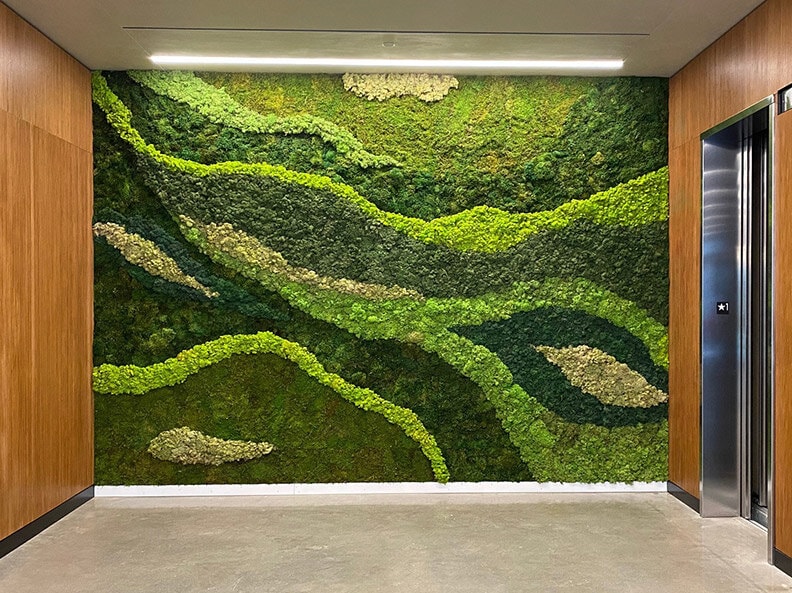 Moss Walls And Vertical Gardens