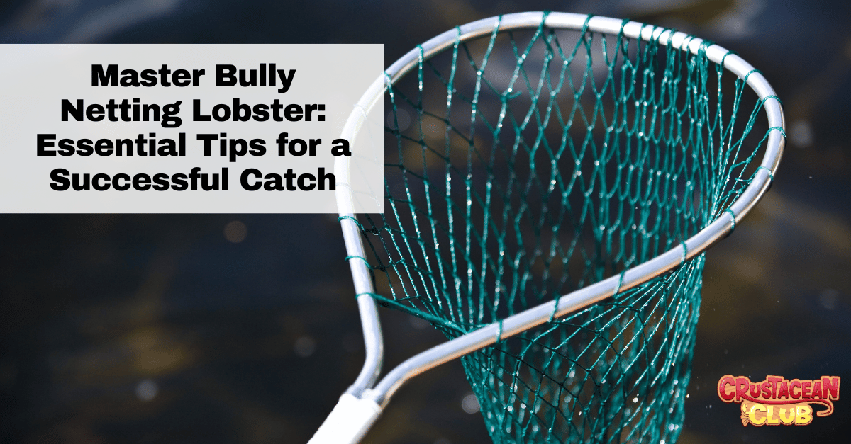 Master Bully Netting Lobster: Essential Tips for a Successful Catch 