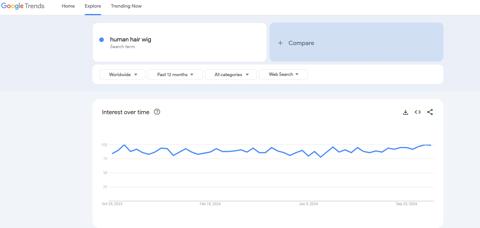 hair wig google trends results