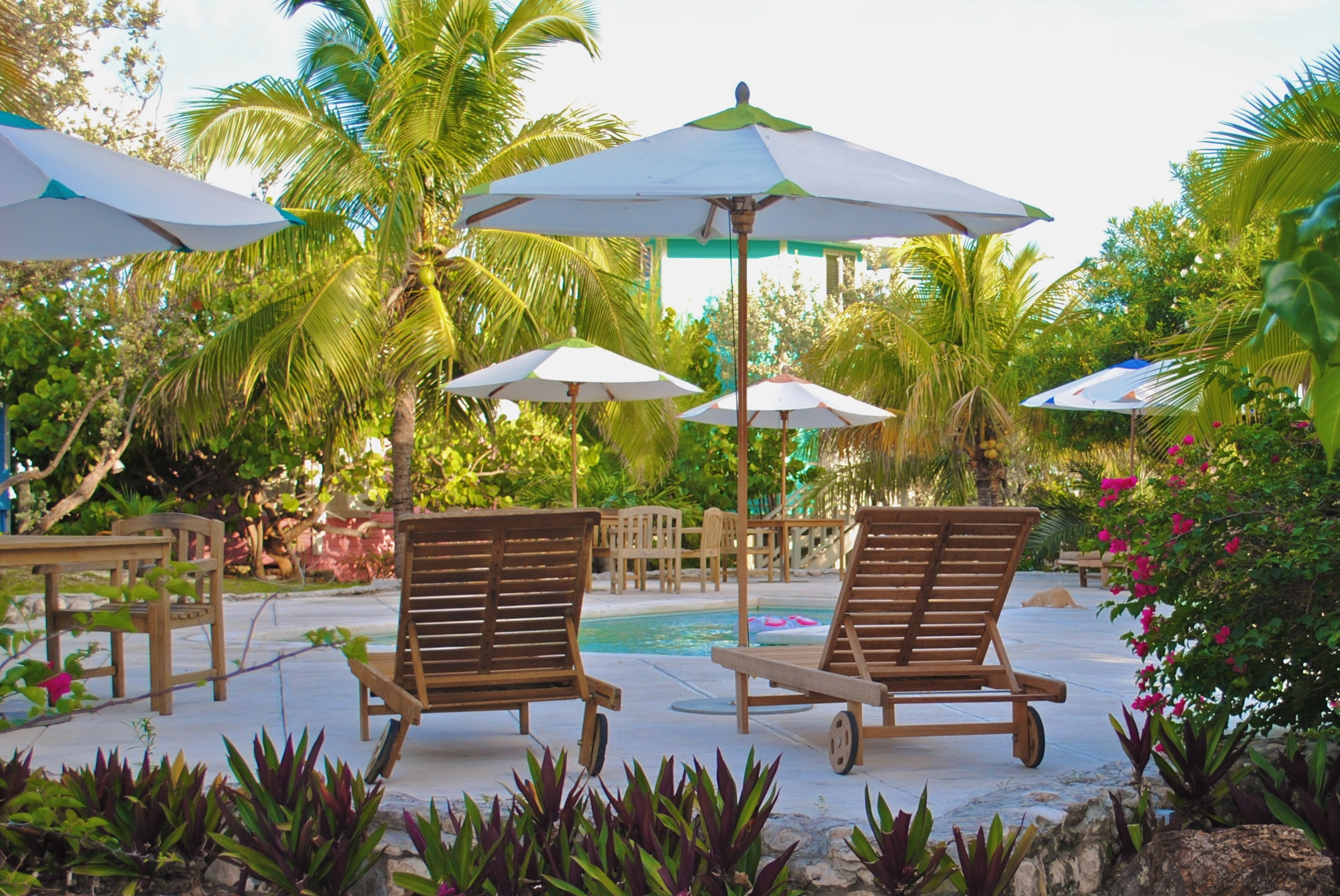 Top 20+ Patio shade ideas on a budget 10 How Do I Add Shade to My Backyard?