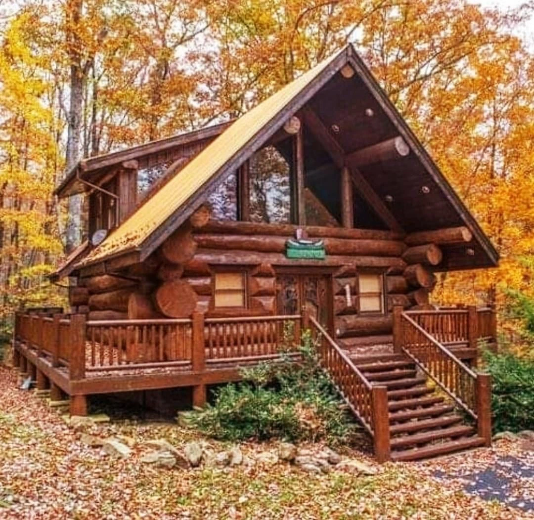 style kabin kayu