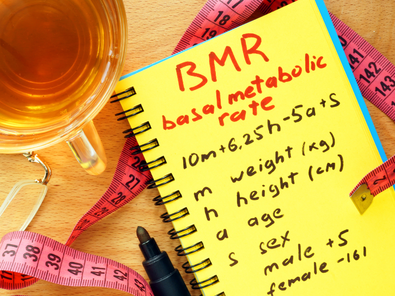 basal metabolic rate