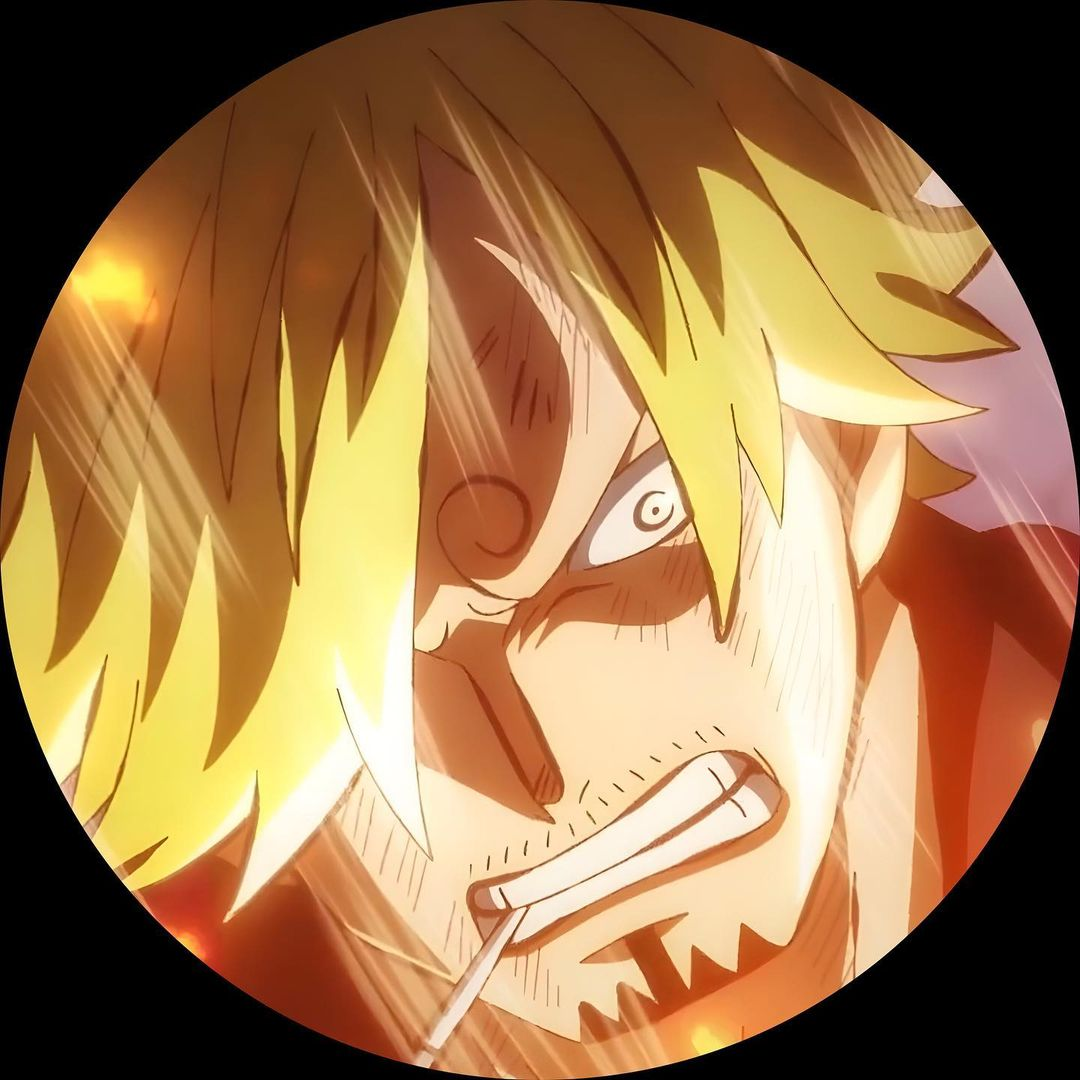 One Piece Pfp 40 Profile Pictures For Fans Last Stop Anime