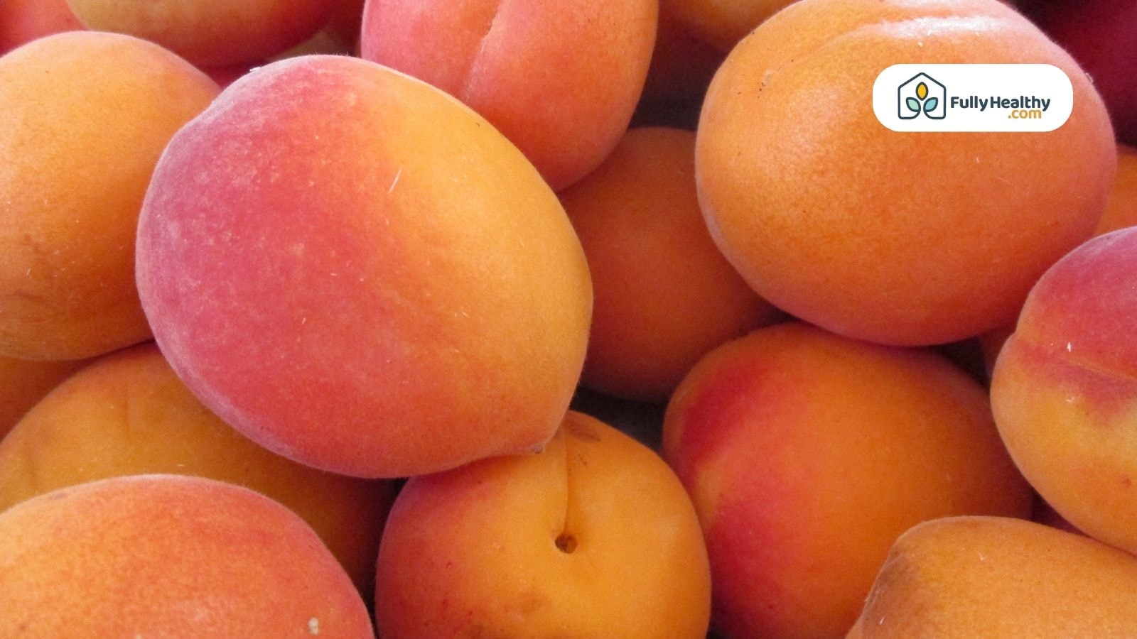 Pile of ripe apricots with vibrant orange skin