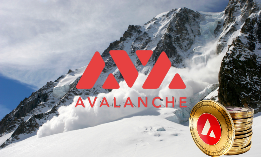 คุณสรุปว่าการลงทุนในการซื้อขาย Avalanche คุ้มค่าหรือไม่?