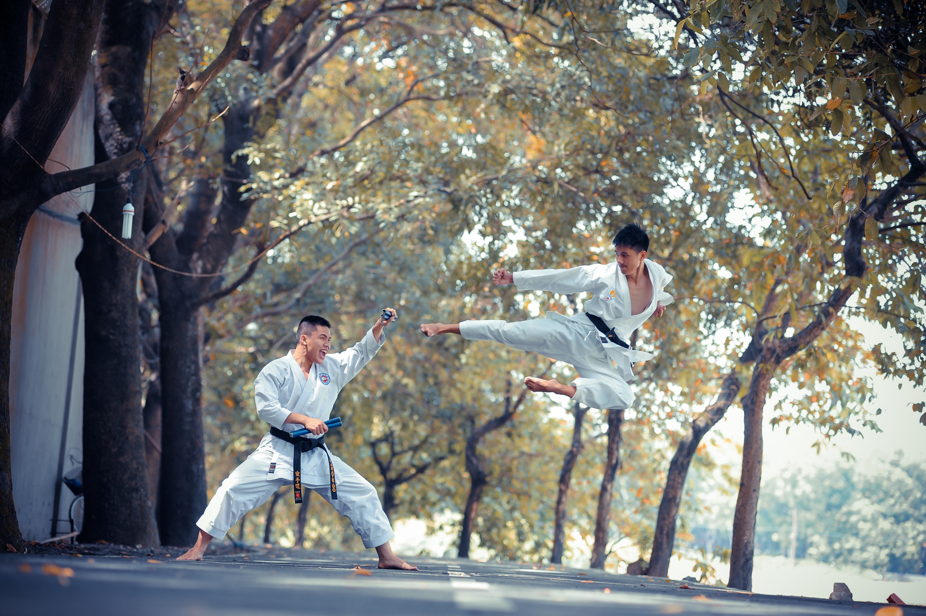 learning karate or other forms of physical activity like brazilian jiu jitsu, kung fu, or other sports will help build core strength. karate offers improved overall fitness and overall health for your daily life. 