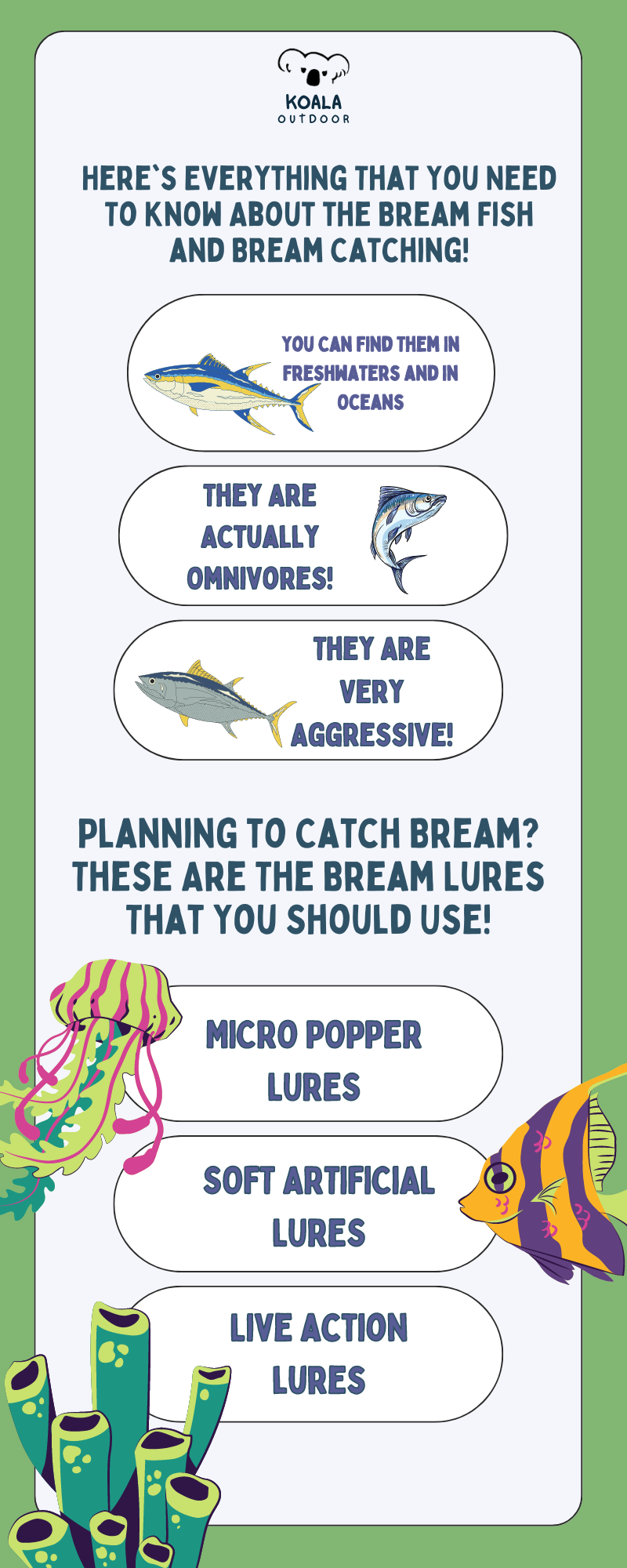 Bream Fish 101: Tips and Tricks for Catching Bream