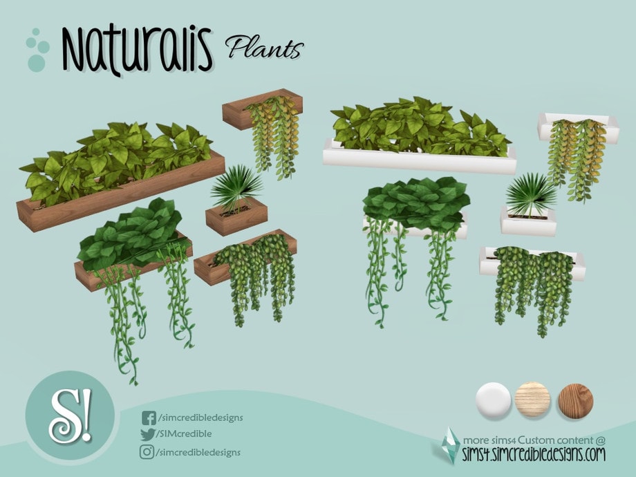 Naturalis Office Wall Plants