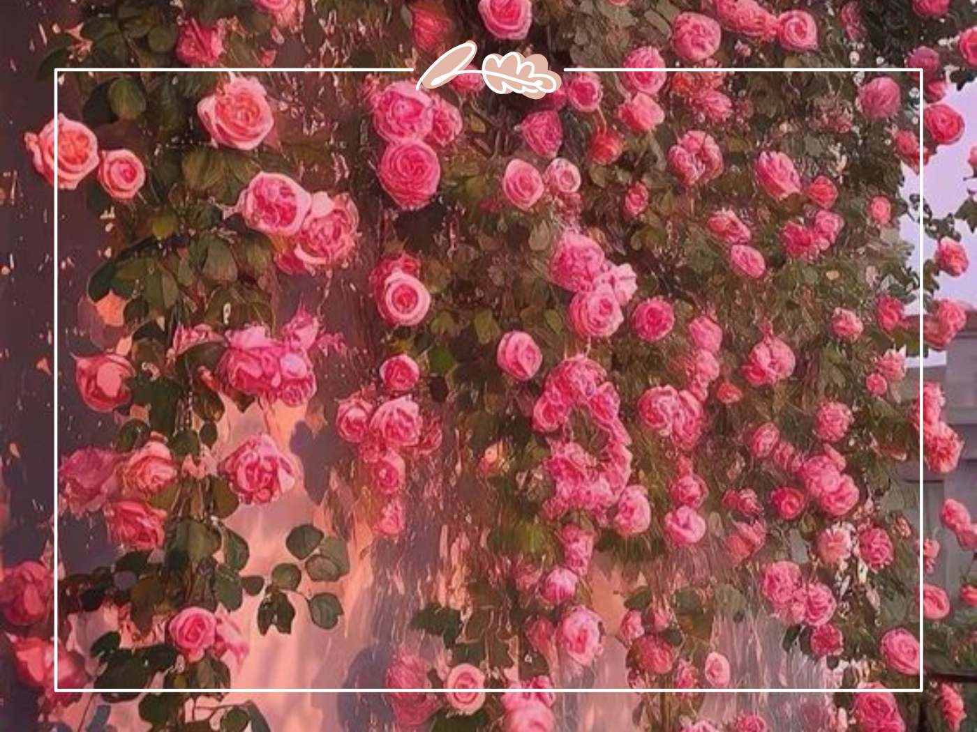 A cascade of lush pink roses climbing along a garden wall, evoking a sense of natural beauty and romance.