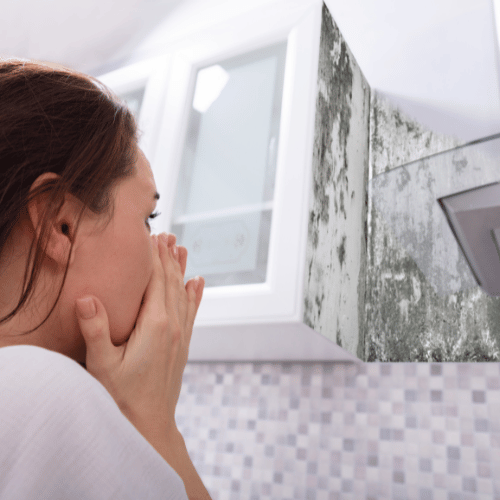 home mold