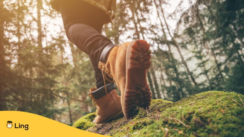 Boots in a forest