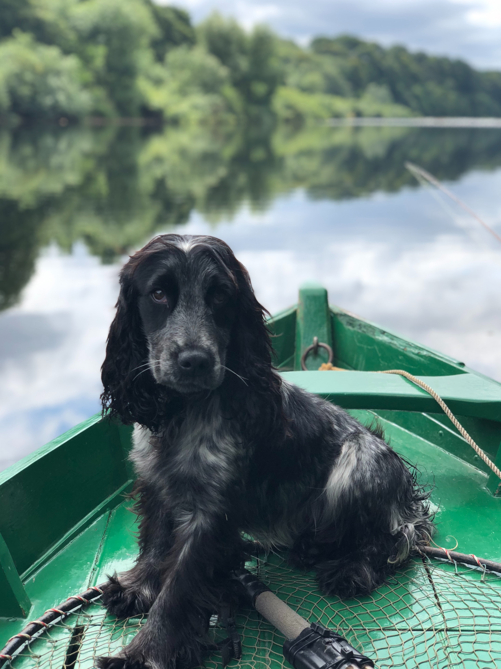 Black dog on green boat on lake