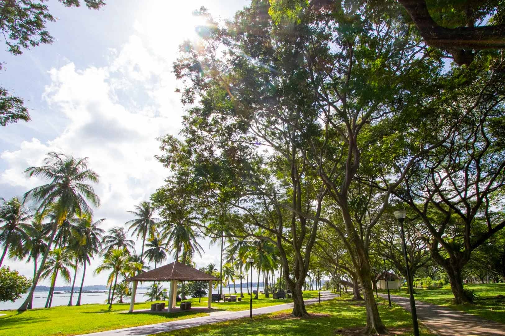 Sunlit scene at East Coast Park with tall trees creating dappled shade over walking paths. A small pavilion sits near open grassy areas, and palm trees line the waterfront under a bright blue sky with scattered clouds.