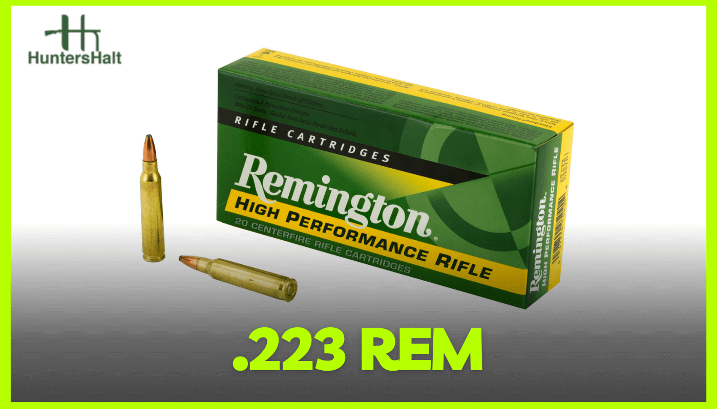 picture of 223 remington ammo with yellow boarder