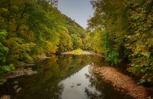 A river flowing through CT
